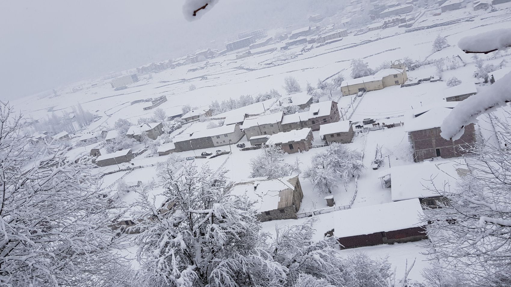 Зимняя Сказка о Грузии - Новый Год с нами... Горнолыжки и исторические места (15/70)