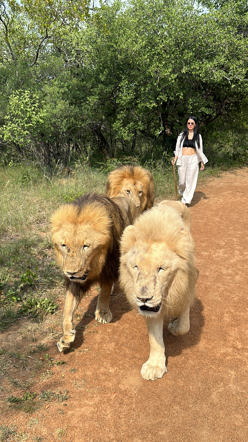 Твоя яркая Африка: ЮАР + Замбия + Зимбабве