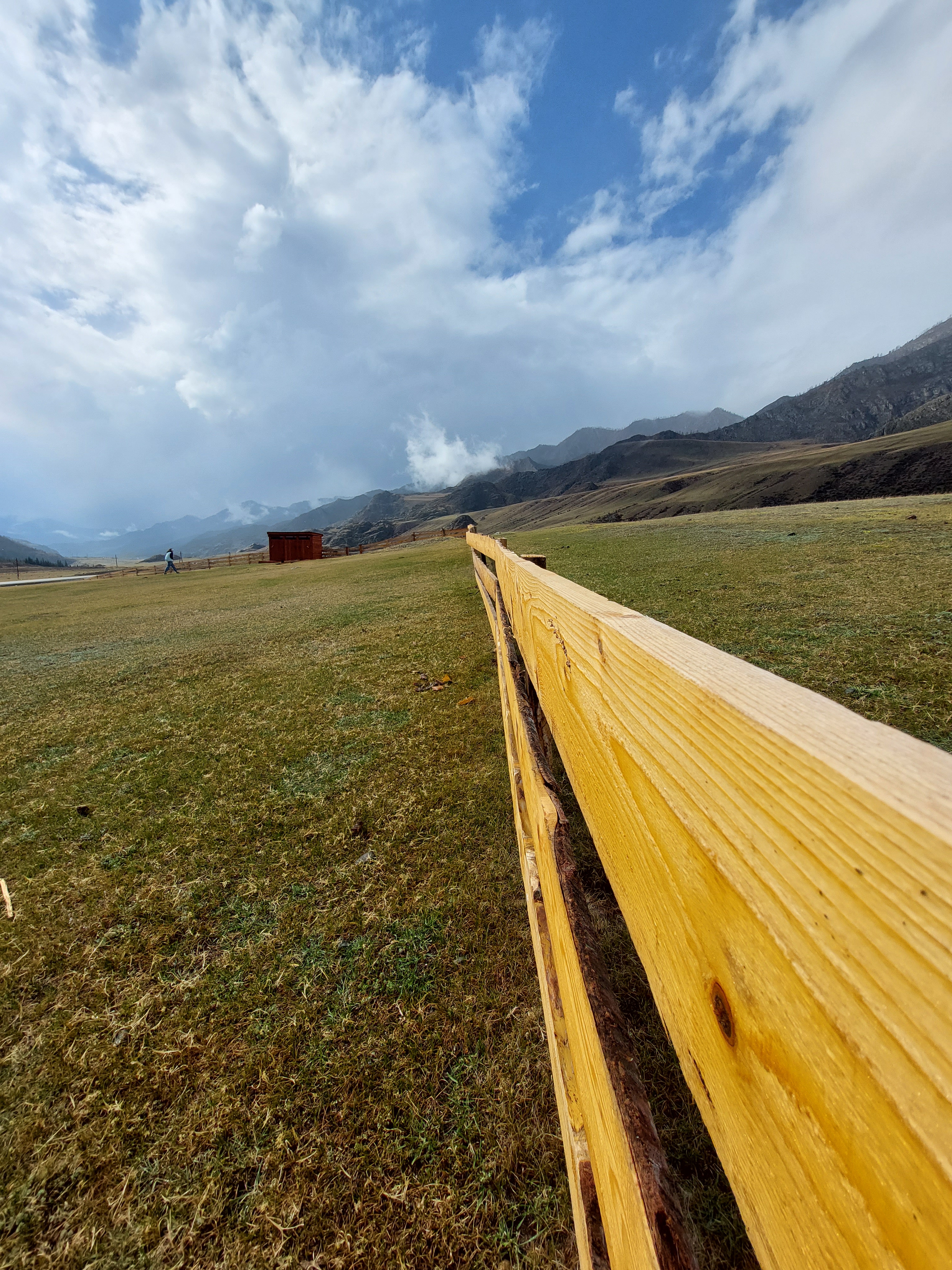 Цветение маральника. Автотур по Чуйскому тракту (21/28)