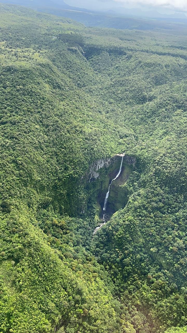 Киты и Кашалоты на Маврикии (2/32)