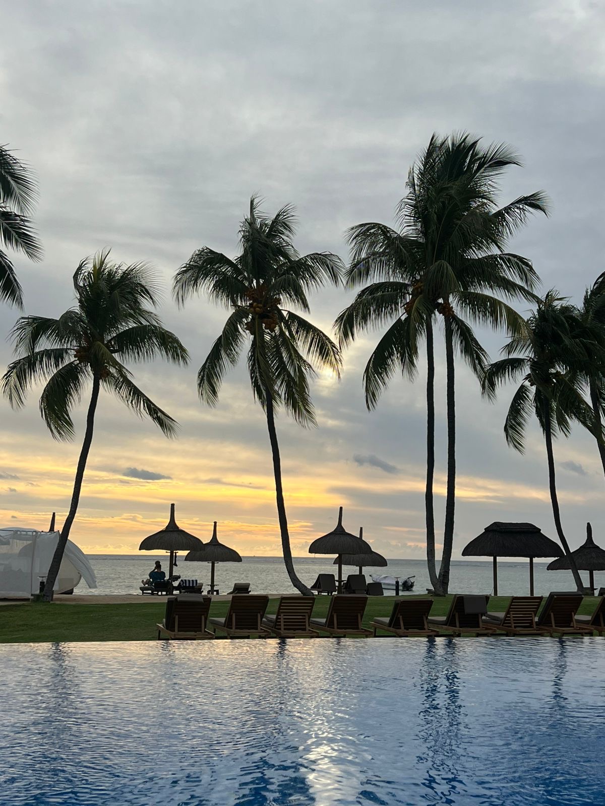 Киты и Кашалоты на Маврикии (13/32)