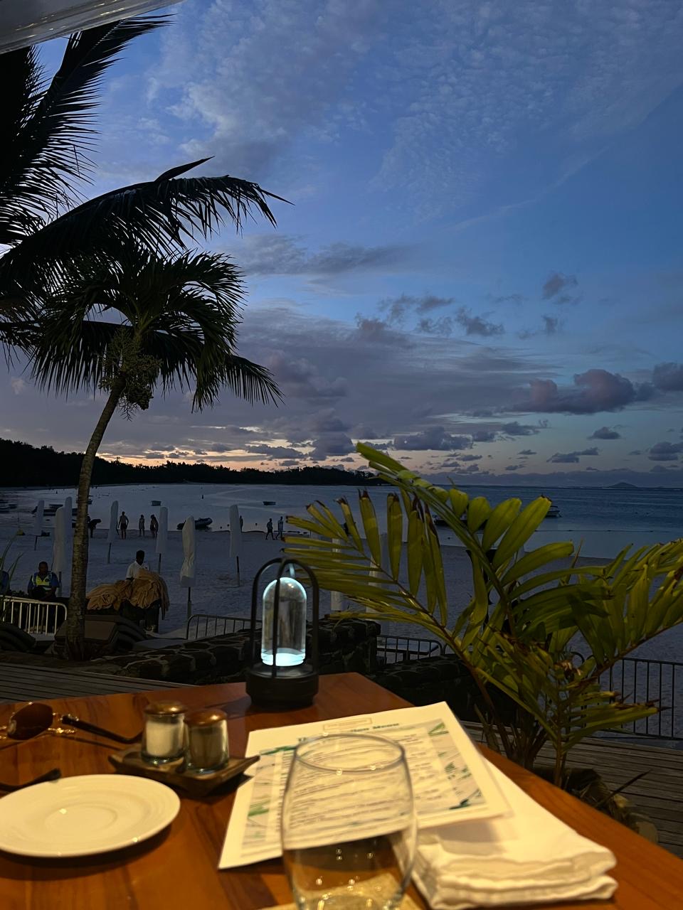 Киты и Кашалоты на Маврикии (12/32)