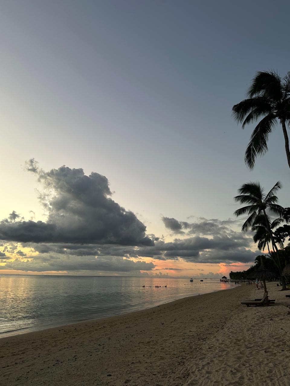 Киты и Кашалоты на Маврикии (10/32)