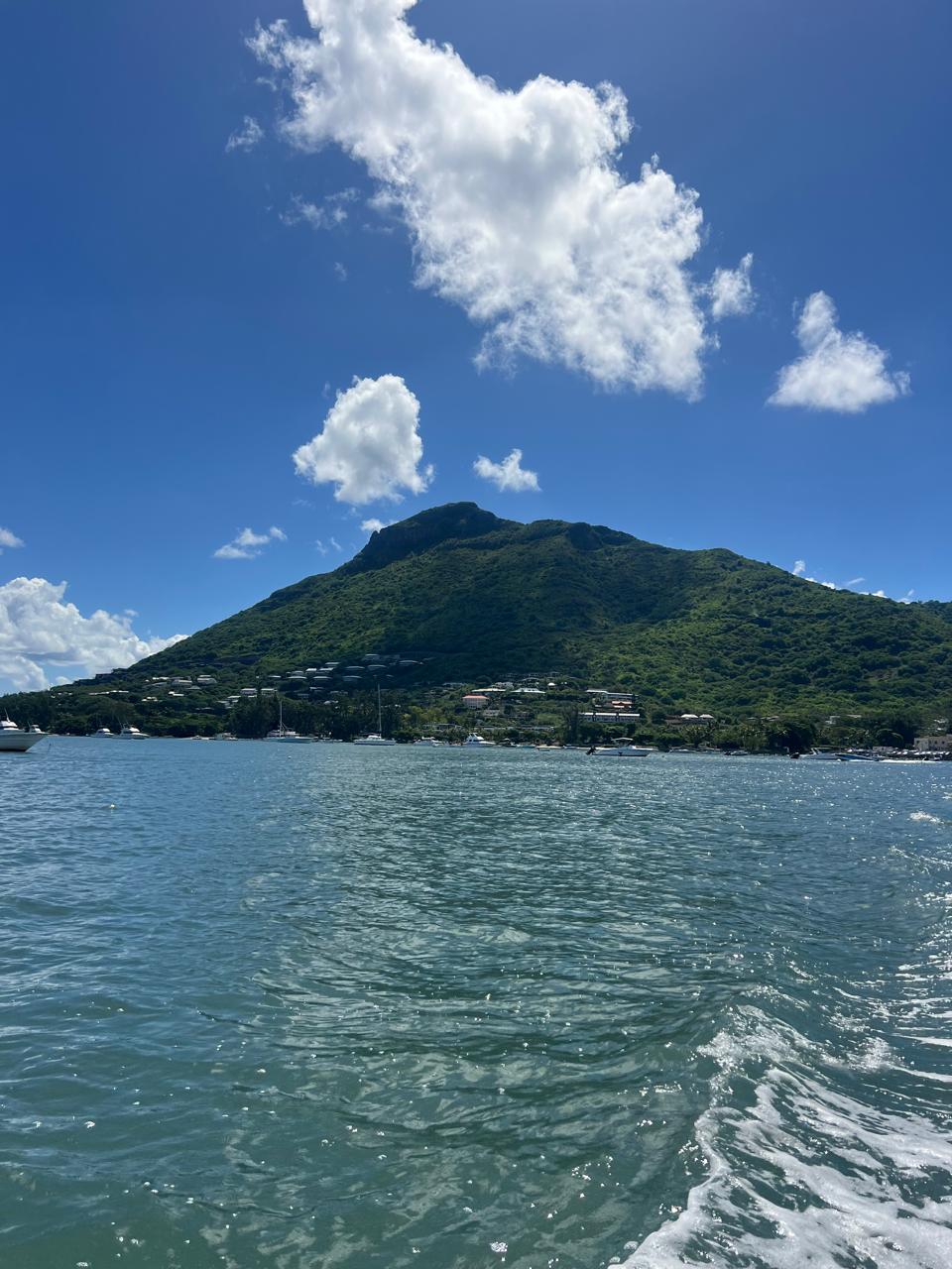 Киты и Кашалоты на Маврикии (11/32)