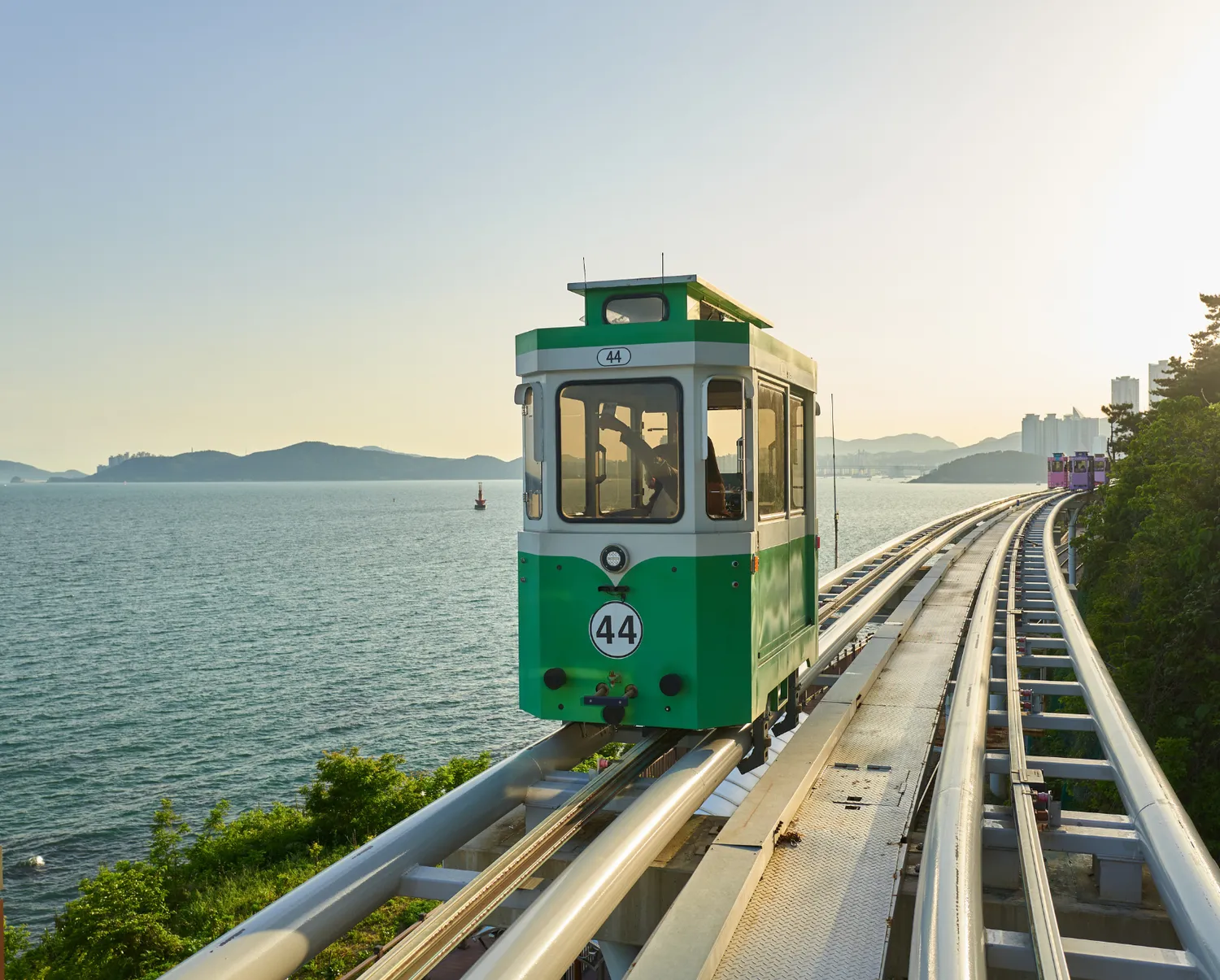 Цветение сакуры в Южной Корее. Сеул+Пусан (13/26)