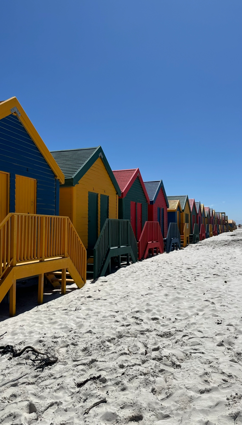 Девичник в Кейптауне - сафари, вертолет, вино, киты (3/22)