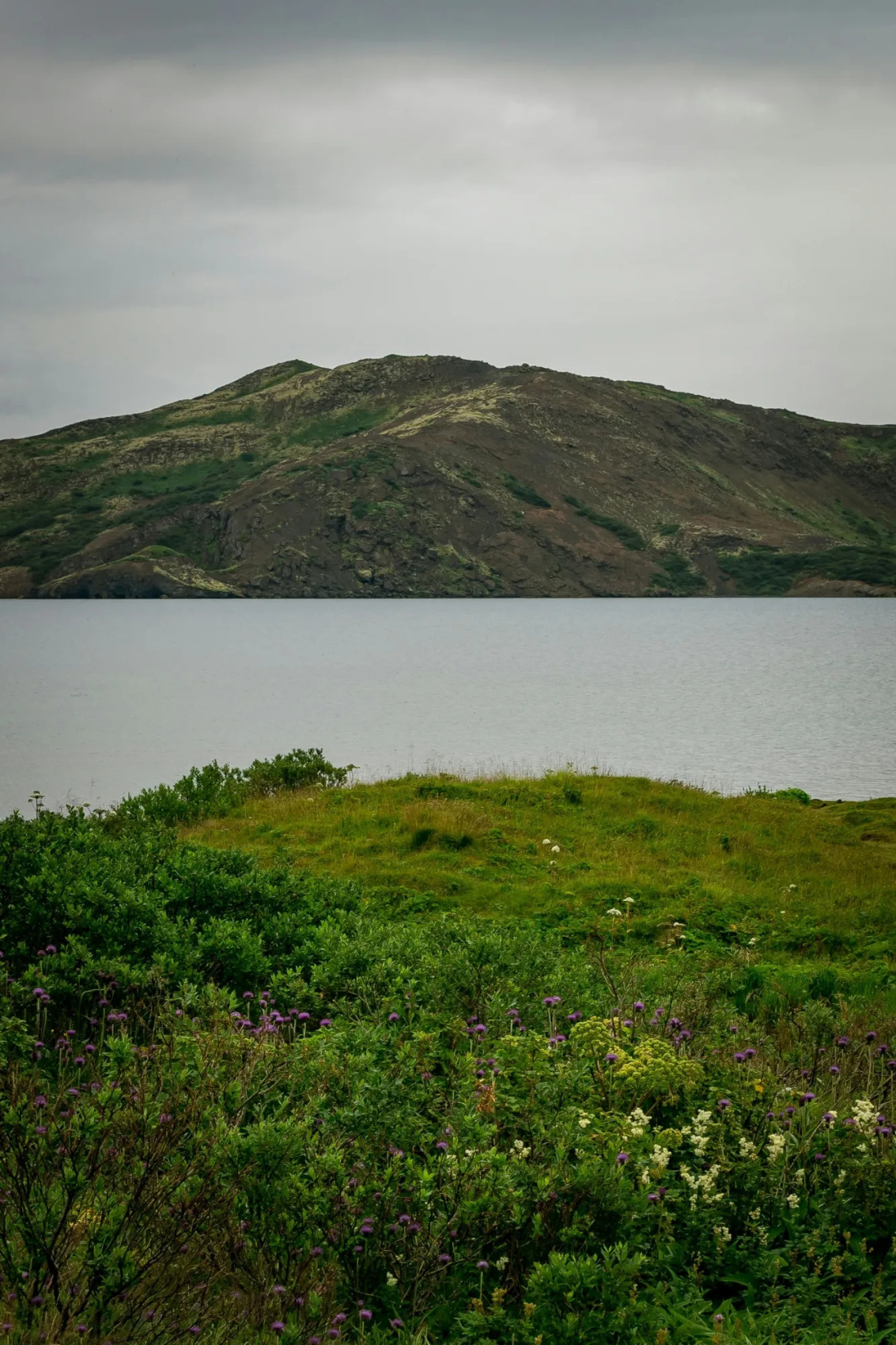 Берингова одиссея: поэзия жизни у края земли. Экспедиционный круиз (15/47)