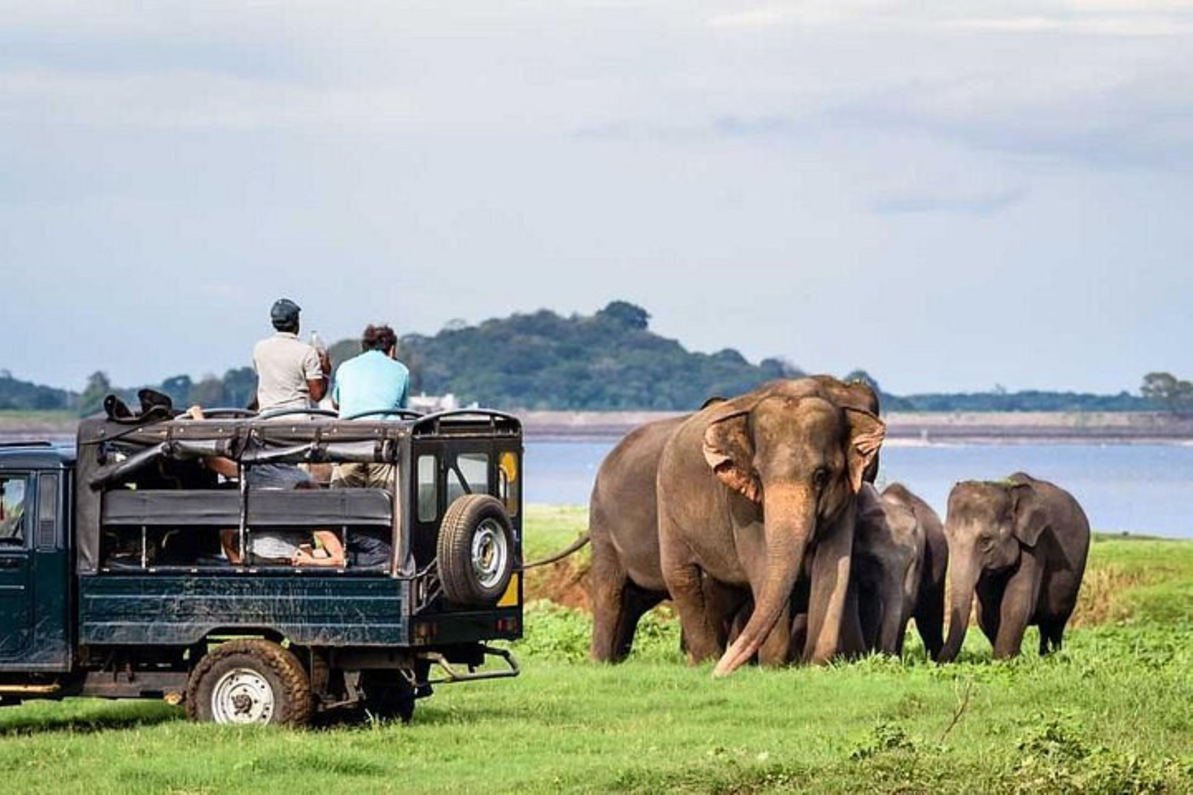 Family Leisure Tour 7N & 8D - Sri Lanka (3/7)