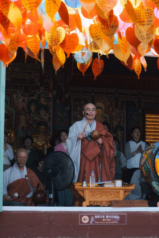 Южная Корея (2/30)