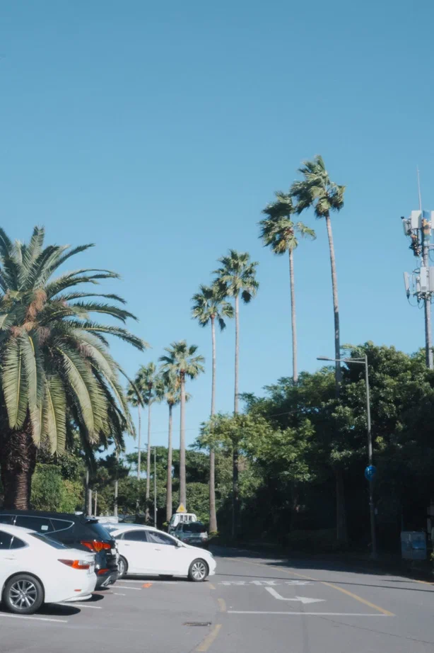 Южная Корея (5/30)