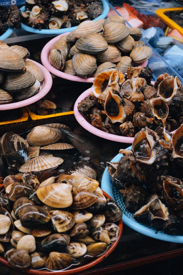 Южная Корея (4/30)