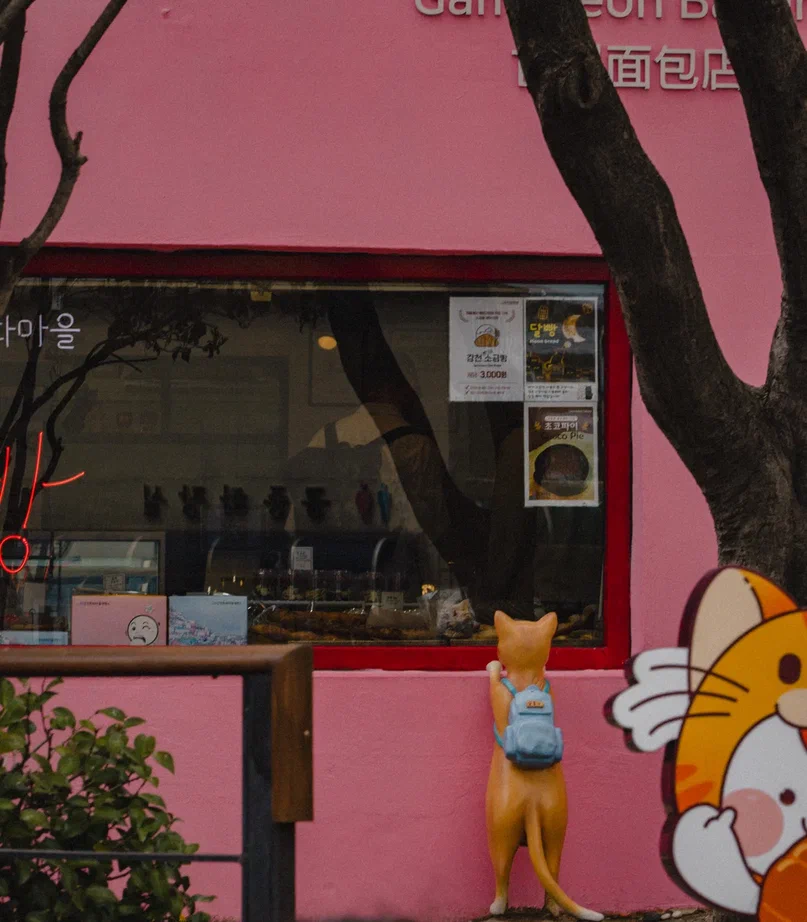 Южная Корея (8/30)