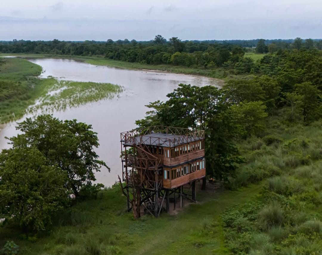 Royal Bengal Tiger & One-horned Rhino Safari in Bardiya (2/7)