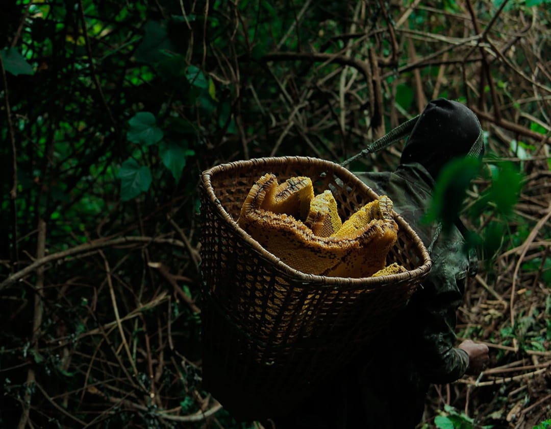 Wild Honey Hunting Tour in Lamjung (3/6)