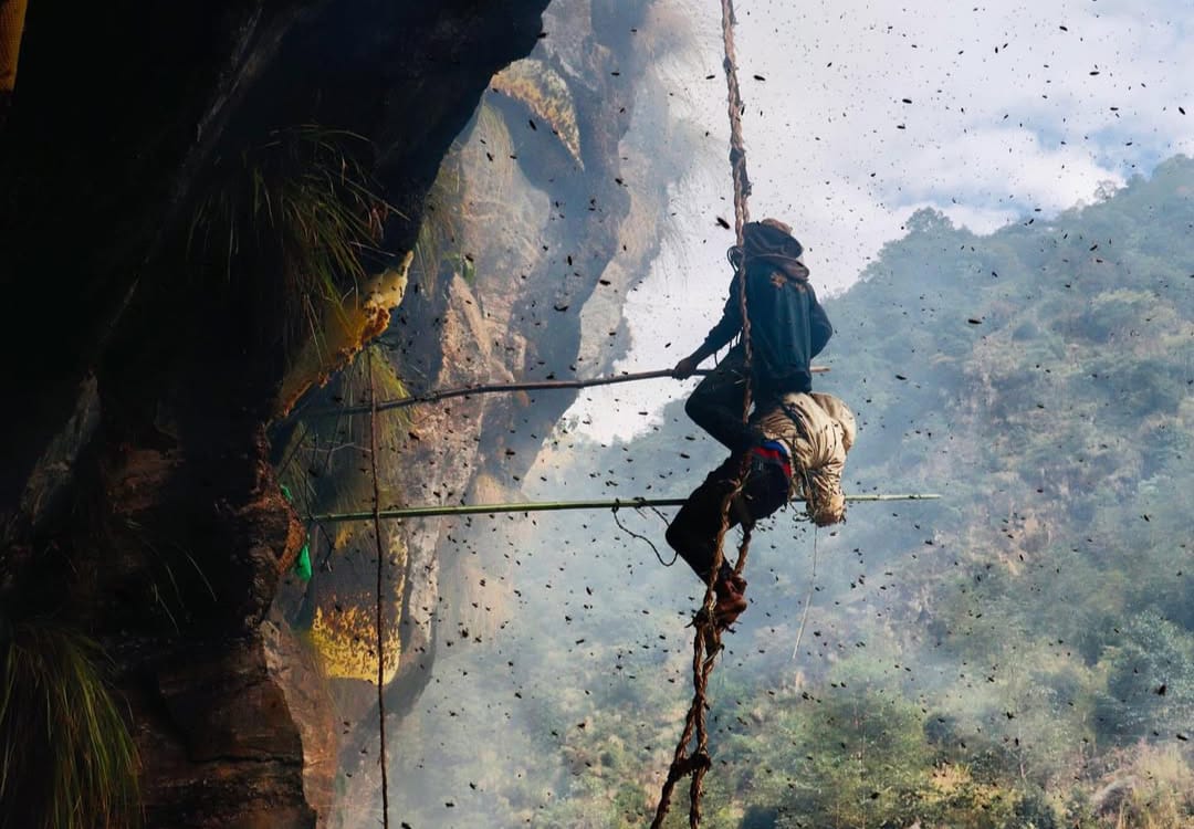 Wild Honey Hunting Tour in Lamjung (2/6)