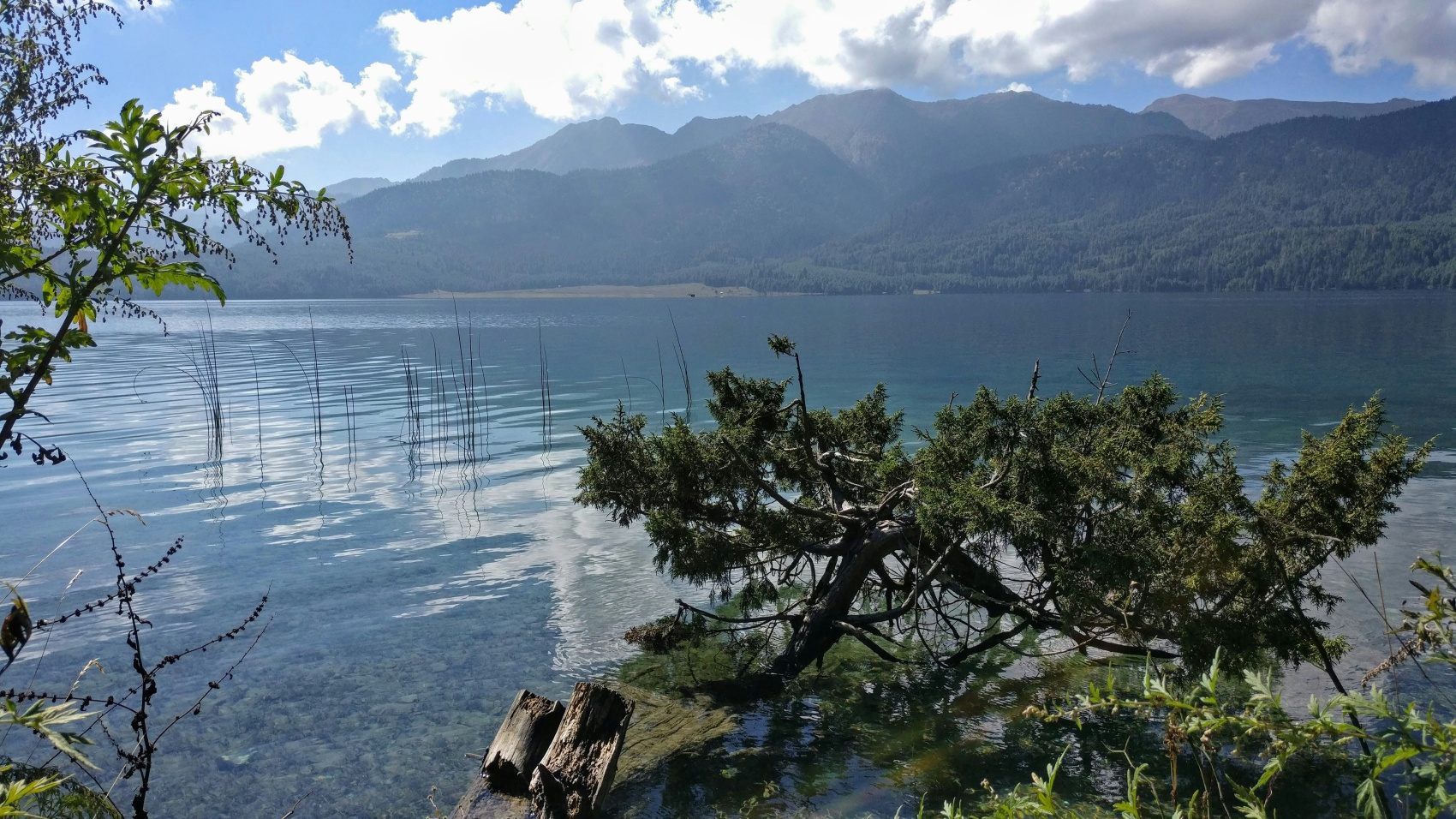 Retreat in Rara lake and Tharu homestay in Nepalgunj (2/6)