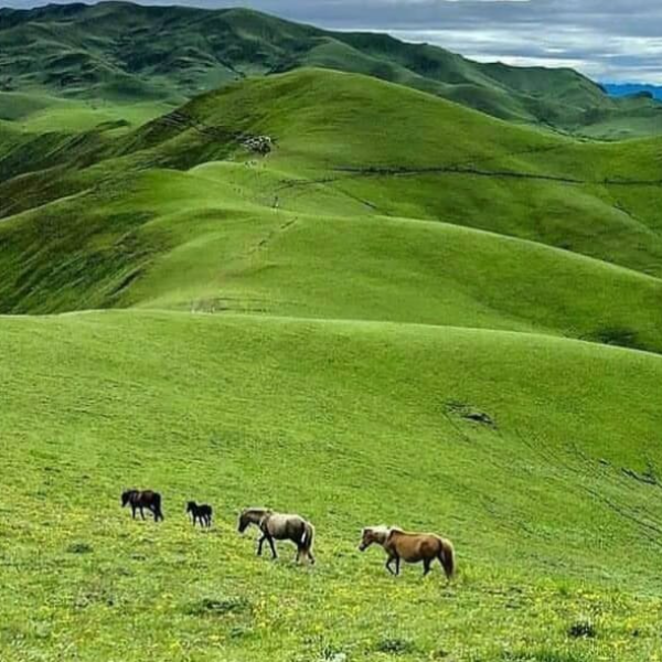 Badimalika Tour (6/6)