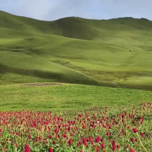 Badimalika Tour (3/6)