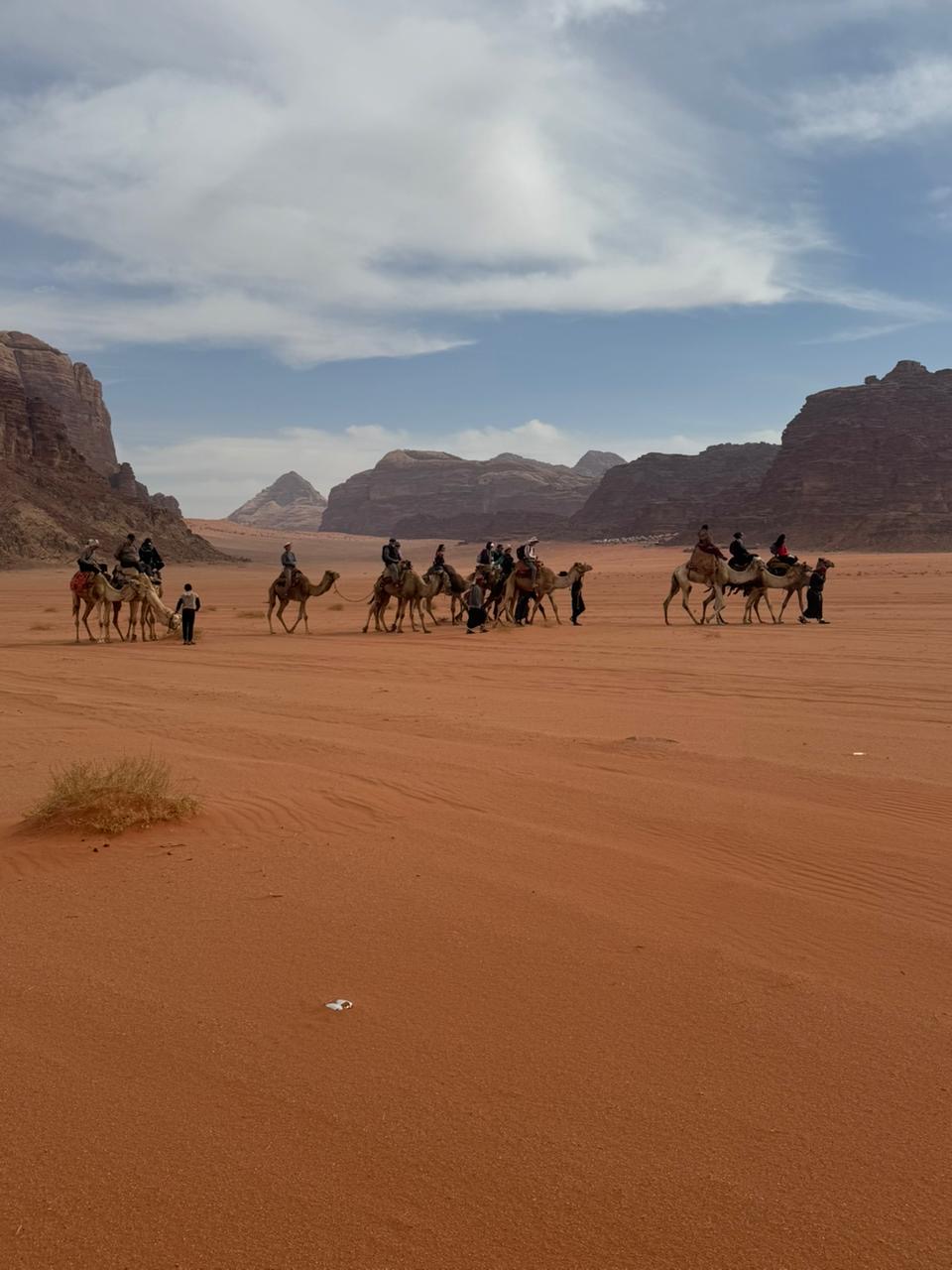 8 Day Trekking & Bedouin Adventure Tour Jordan (26/52)