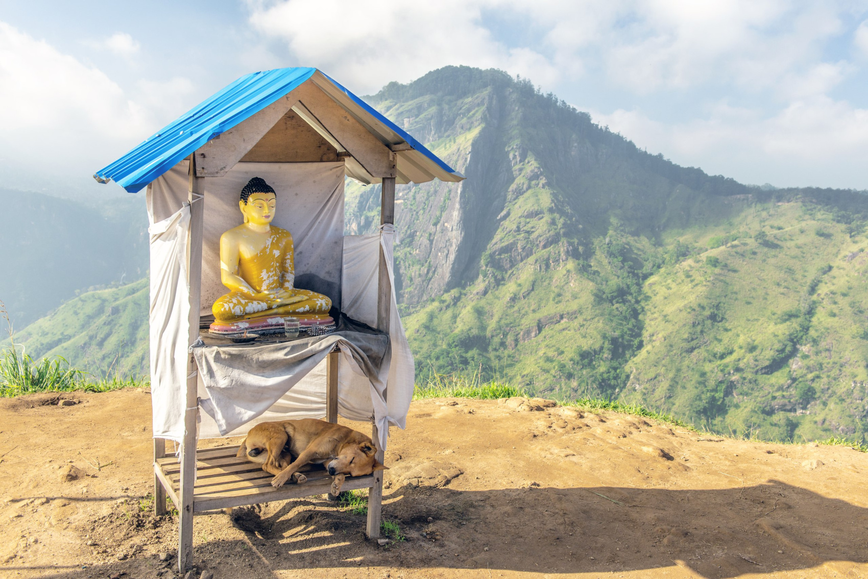 Активный Йога-тур и перезагрузка на Шри-Ланке  Все Сбудется!! (5/52)
