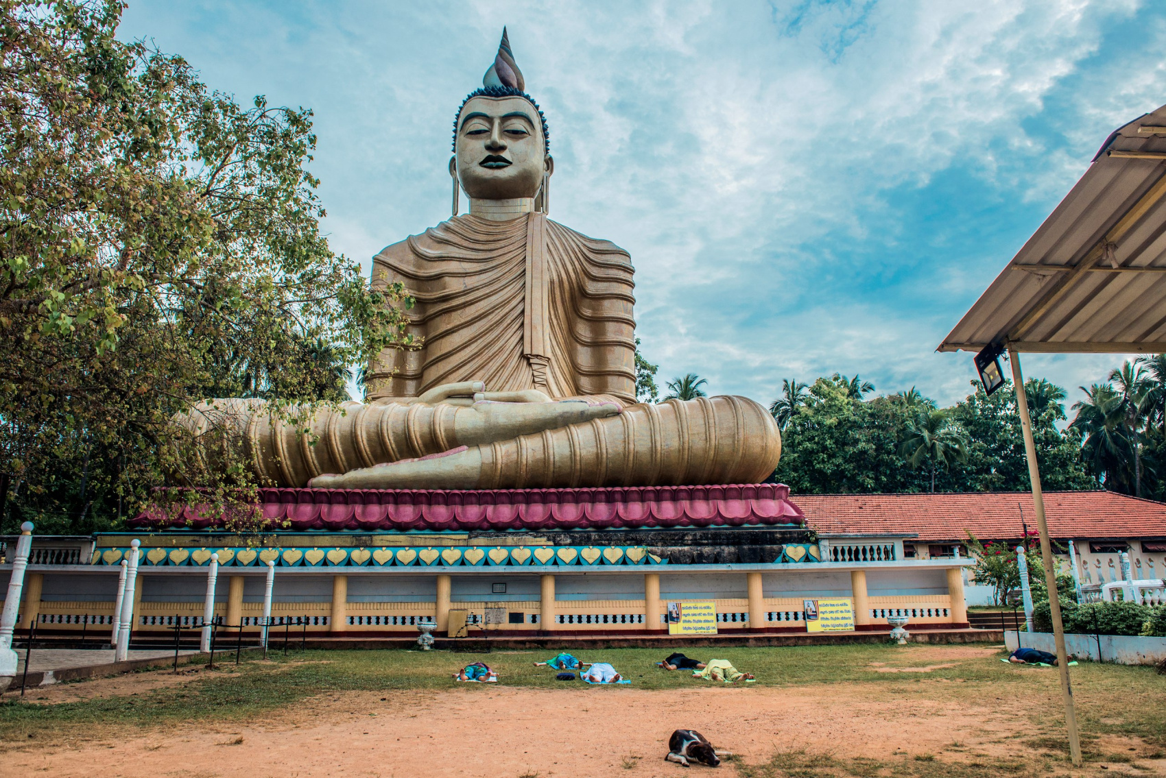 Активный Йога-тур и перезагрузка на Шри-Ланке  Все Сбудется!! (12/52)