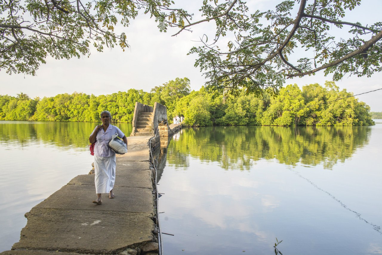 Активный Йога-тур и перезагрузка на Шри-Ланке  Все Сбудется!! (8/52)