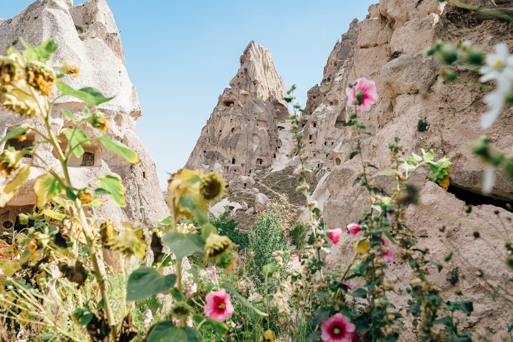 Исполняя мечты Стамбул и Каппадокия (19/55)
