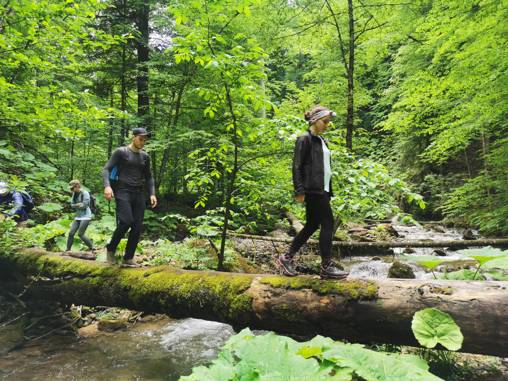 Майские праздники в горах (16/91)