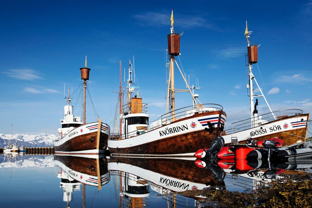 ИСЛАНДИЯ С КОМФОРТОМ (29/65)