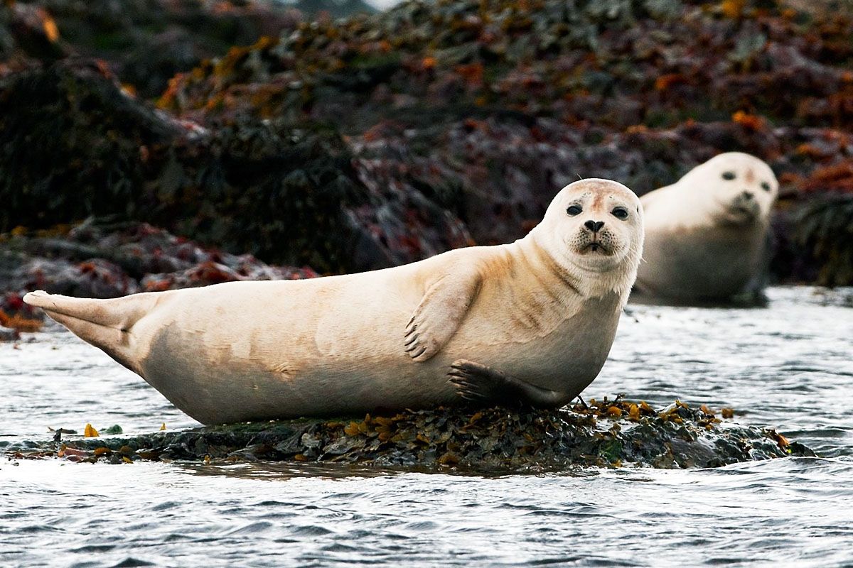 ИСЛАНДИЯ С КОМФОРТОМ (34/65)