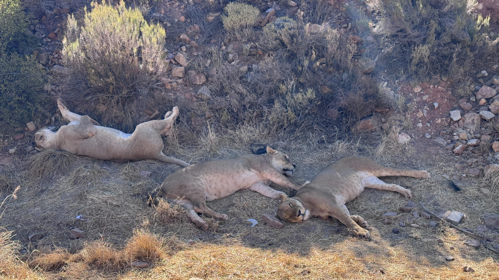 Большое путешествие по Юар (3/31)