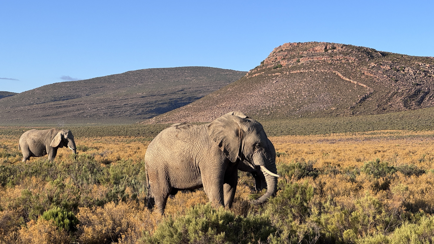 Большое путешествие по Юар (8/31)