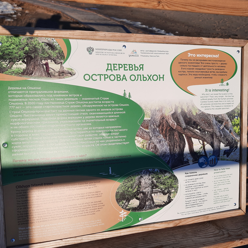 Зимний лед Байкала. Проживание на турбазе. (44/92)