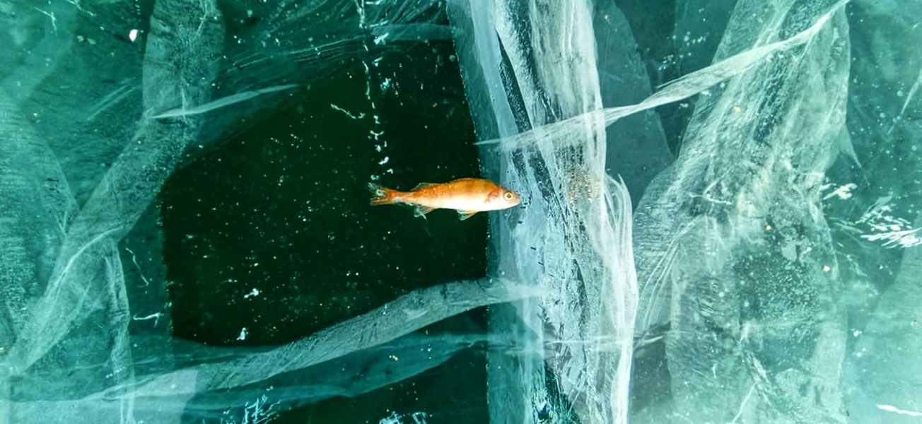 Зимний лед Байкала. Проживание на турбазе. (65/92)