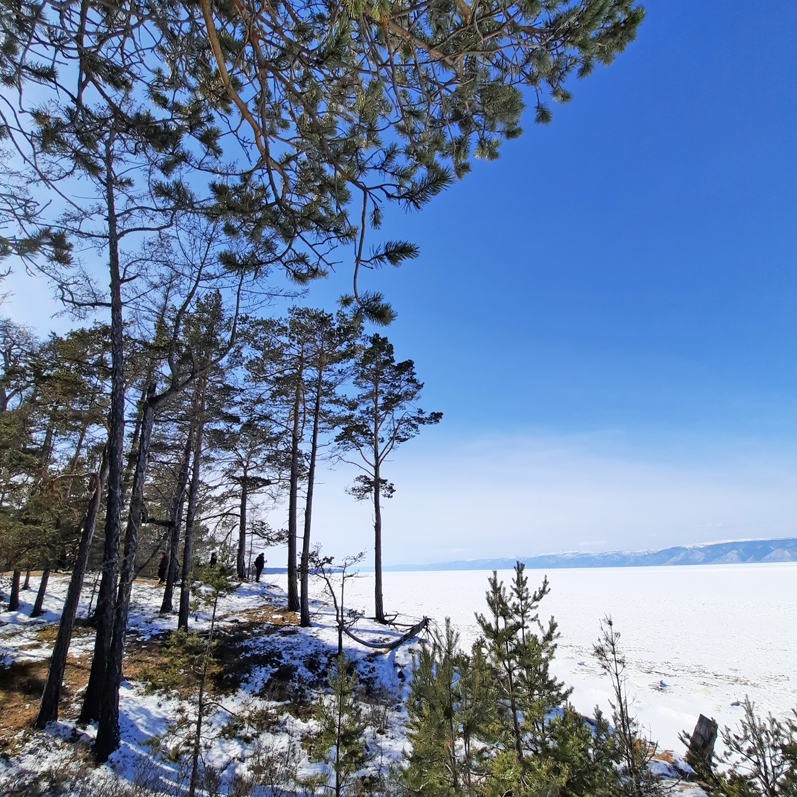 Зимний лед Байкала. Проживание на турбазе. (54/92)