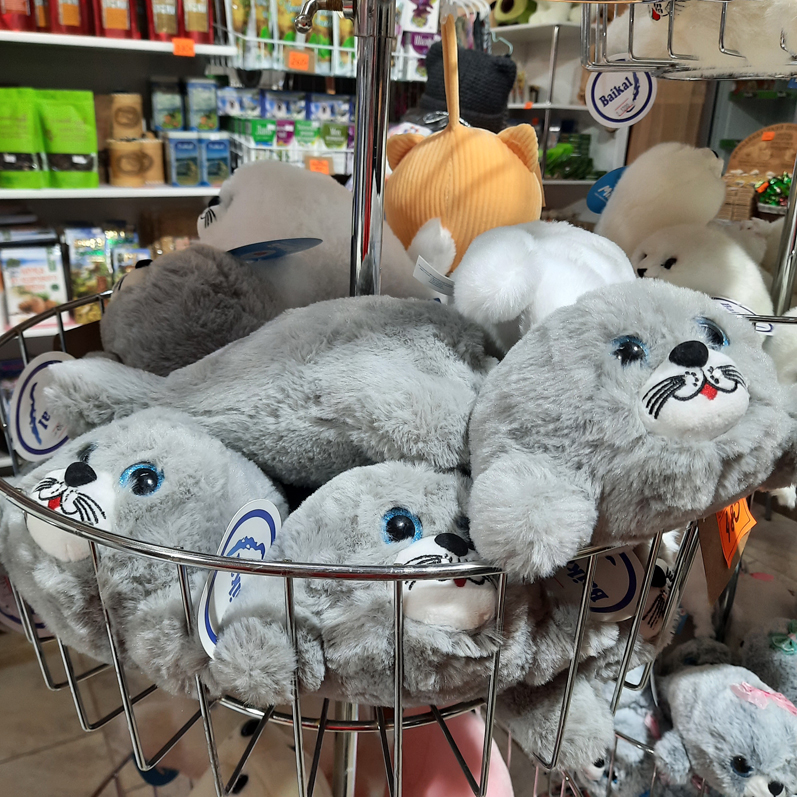 Зимний лед Байкала. Проживание на турбазе. (45/92)