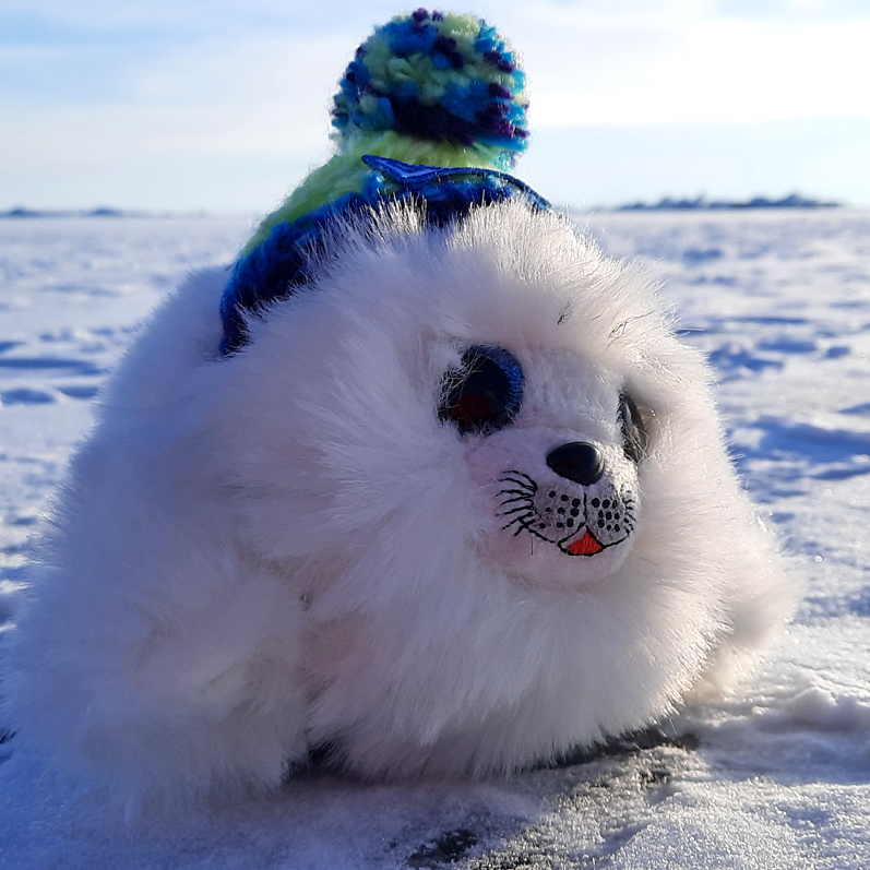 Зимний лед Байкала. Проживание на турбазе. (53/92)