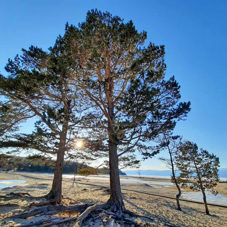 Зимний лед Байкала. Проживание на турбазе. (48/92)