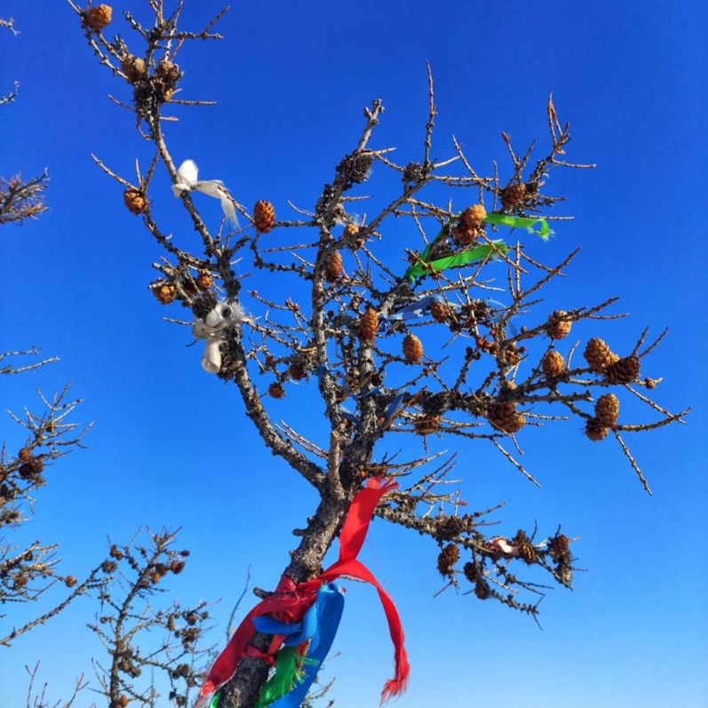 Зимний лед Байкала. Проживание на турбазе. (20/92)