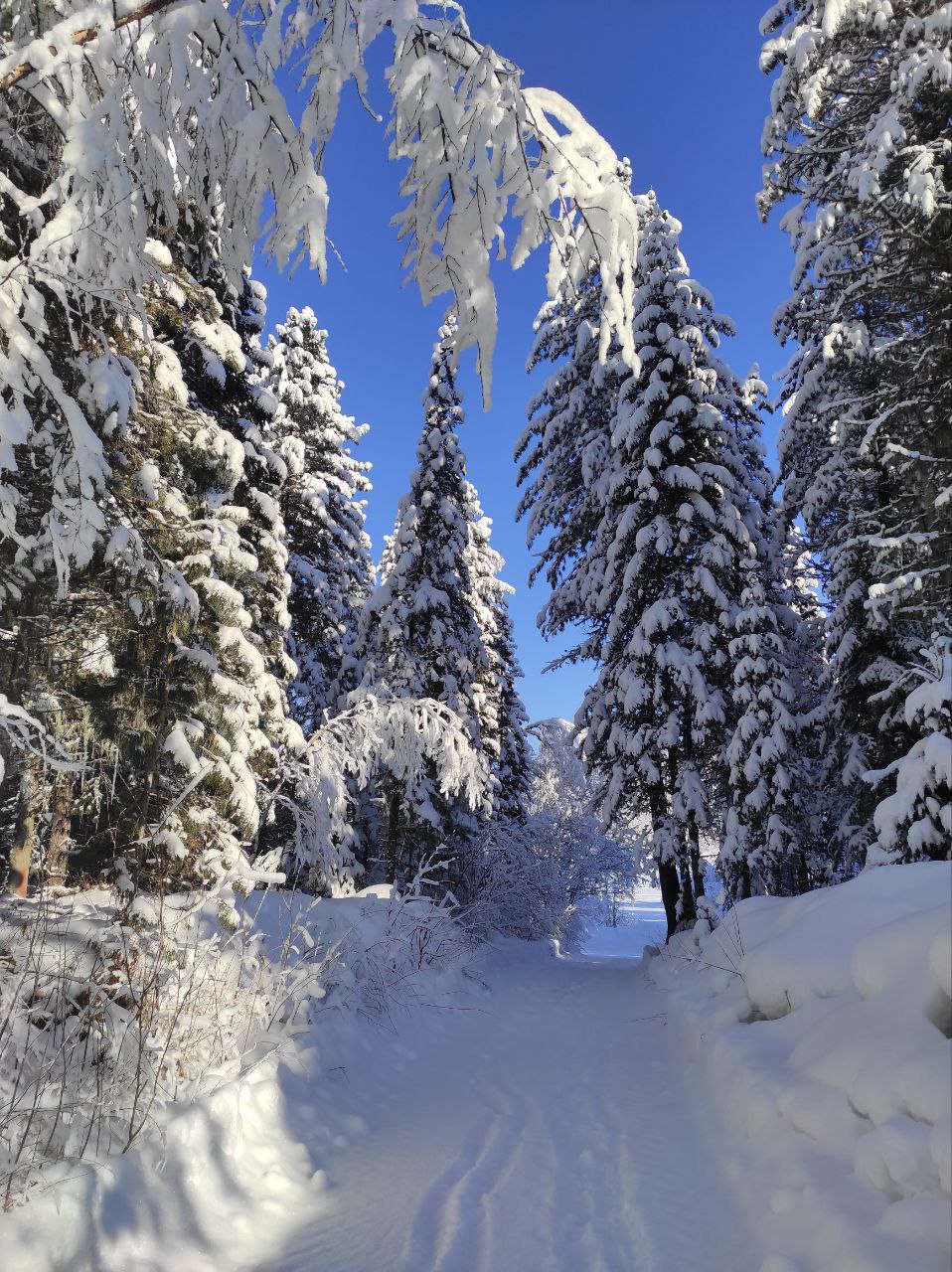 Лучшие горнолыжные курорты Алтая и Горной Шории за 7 дней (4/35)