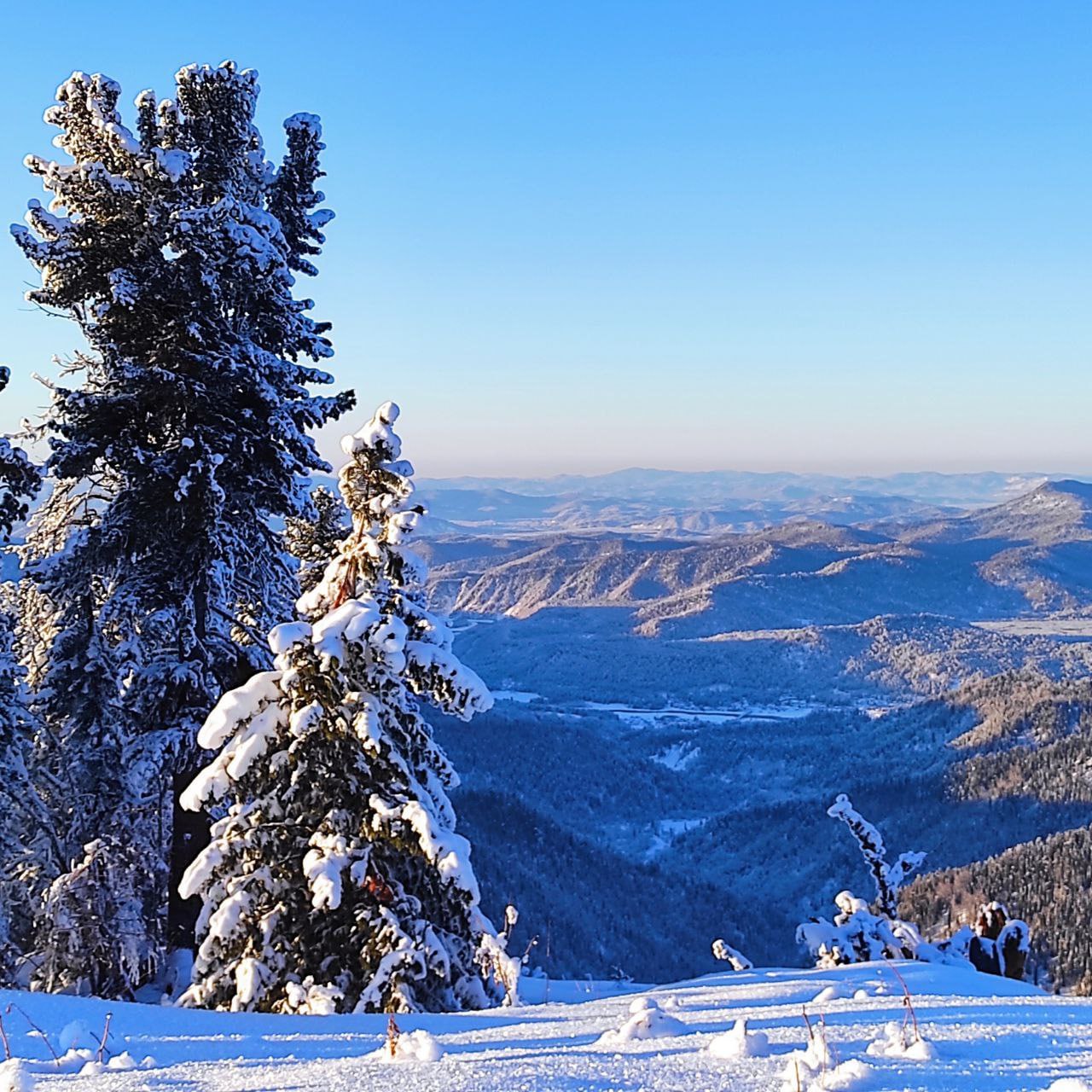 Лучшие горнолыжные курорты Алтая и Горной Шории за 7 дней (11/35)