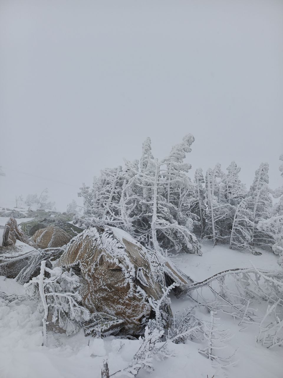 Лучшие горнолыжные курорты Алтая и Горной Шории за 7 дней (6/35)