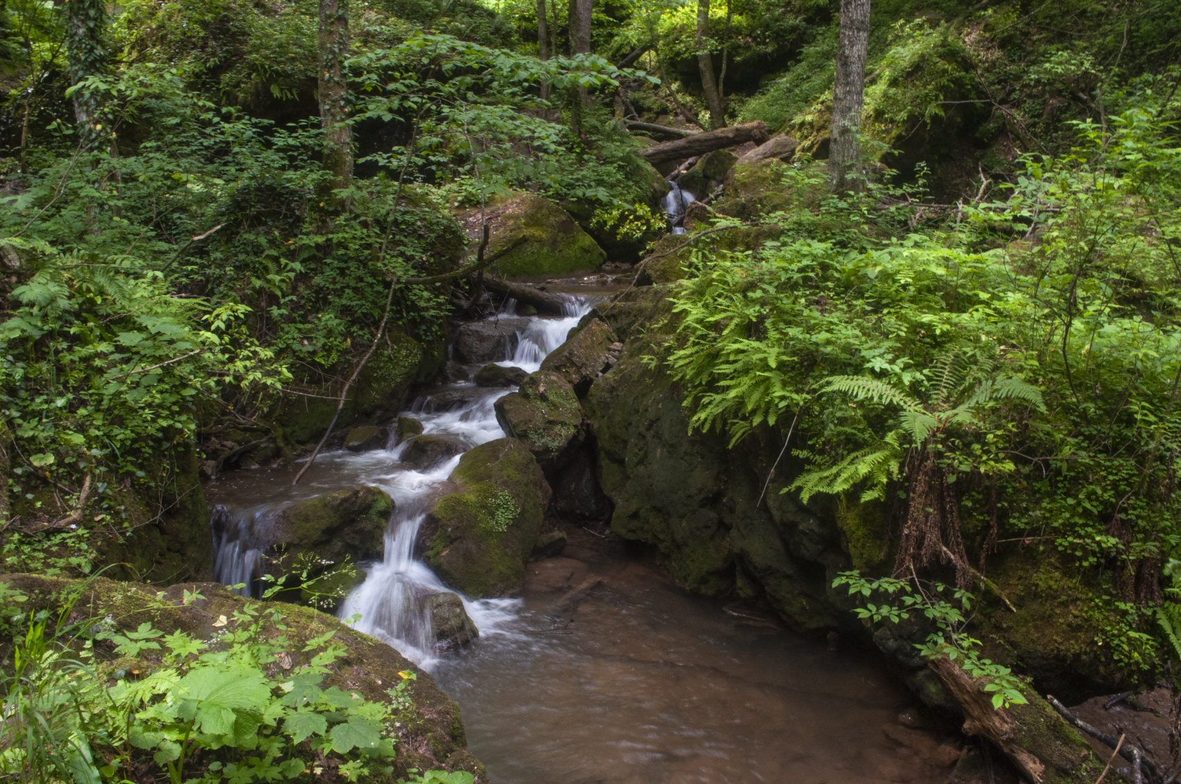 Мультиактив в Адыгее (49/102)