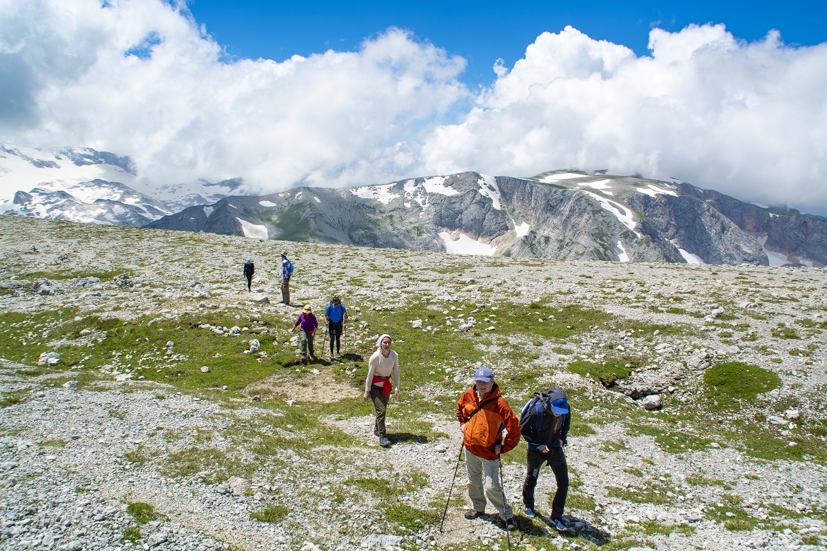 Мультиактив в Адыгее (20/102)
