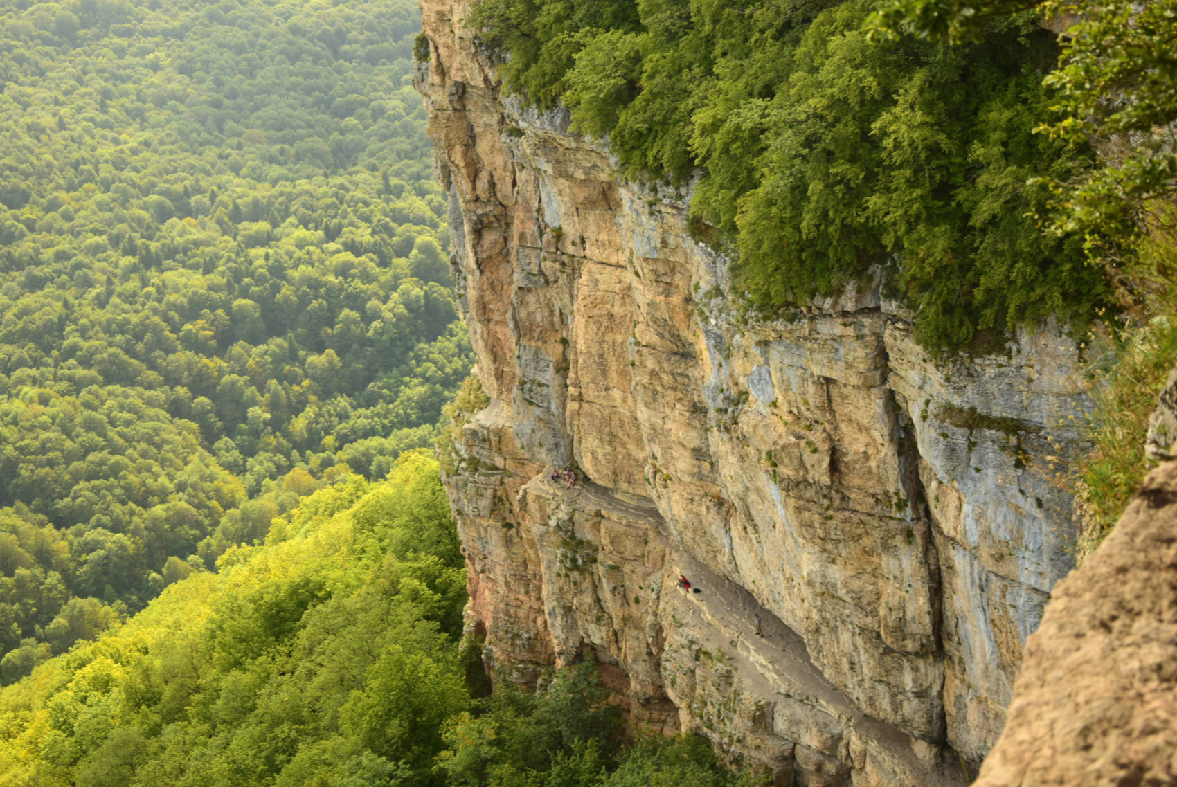 Мультиактив в Адыгее (51/102)