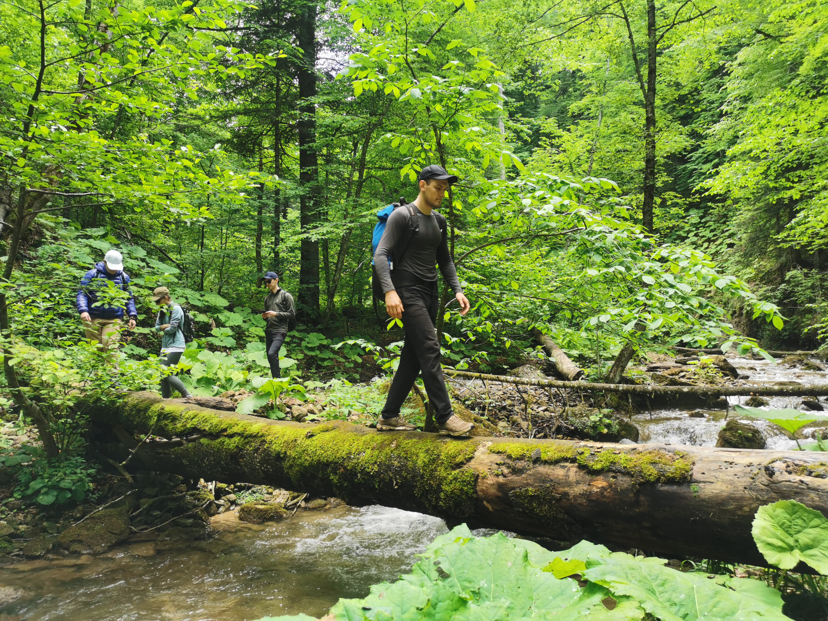 Мультиактив в Адыгее (44/102)