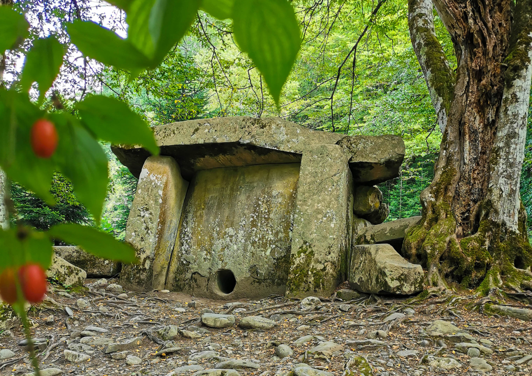 Едем в горы (16/77)