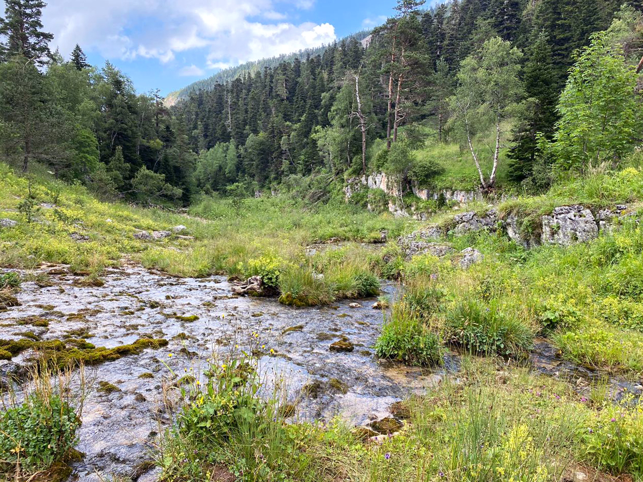 Едем в горы (46/77)