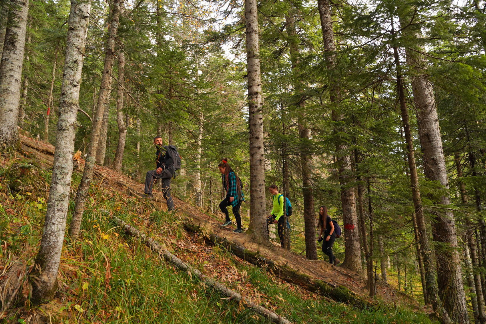 Едем в горы (47/77)