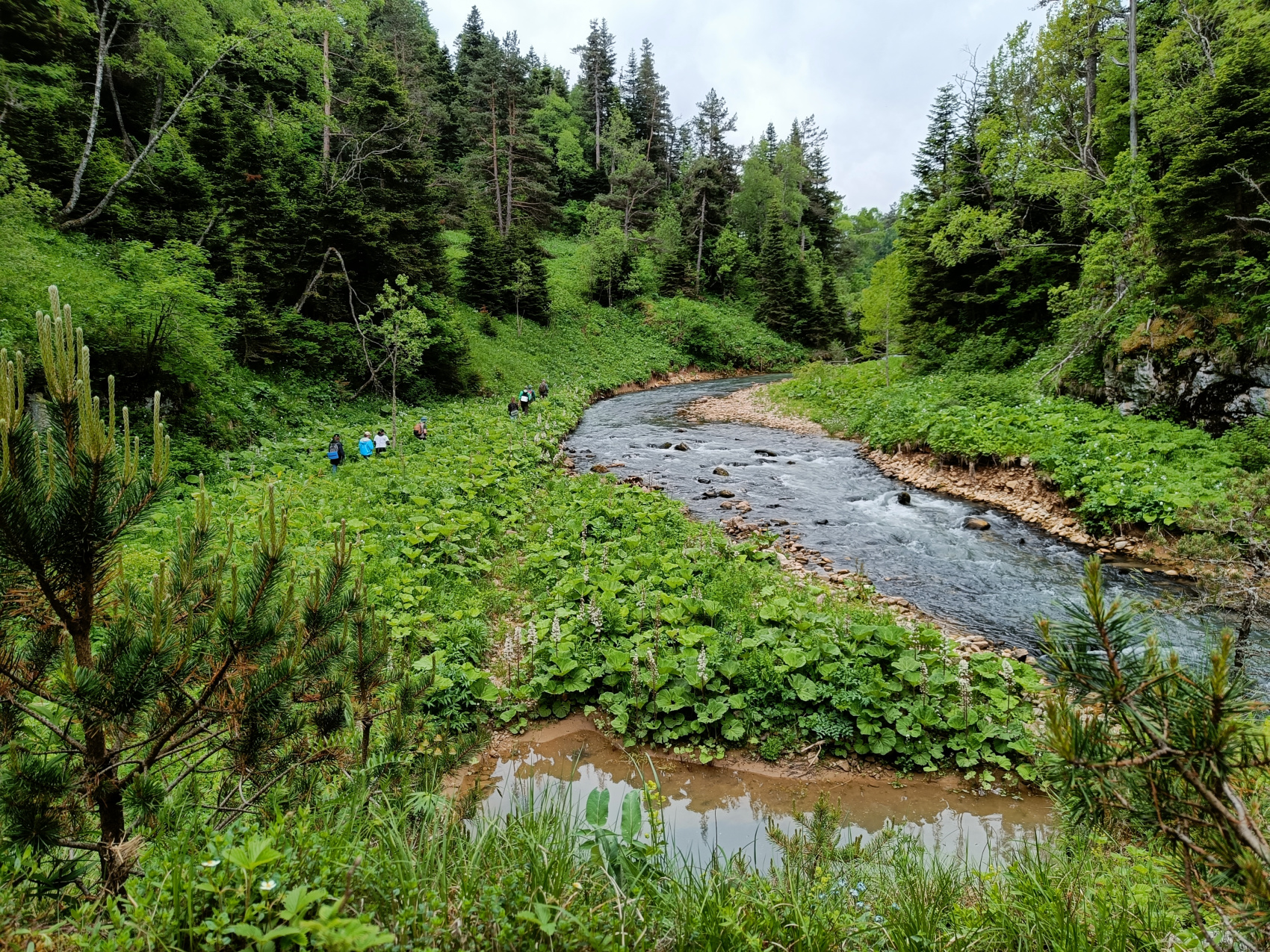Едем в горы (54/77)